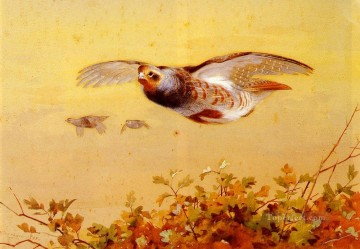 Perdiz inglesa en vuelo Archibald Thorburn pájaro Pinturas al óleo